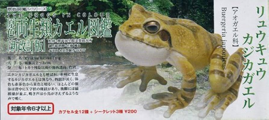 希少 ユージン 原色両生類カエル図鑑 26種 フルコンプ シークレット3個含む Amazon.co.jp: 原色両生類カエル図鑑 全26種フルコンプ